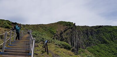 Jeju Mimong