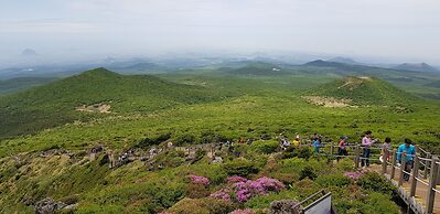Jeju Mimong