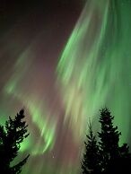 Arctic Resort Delight
