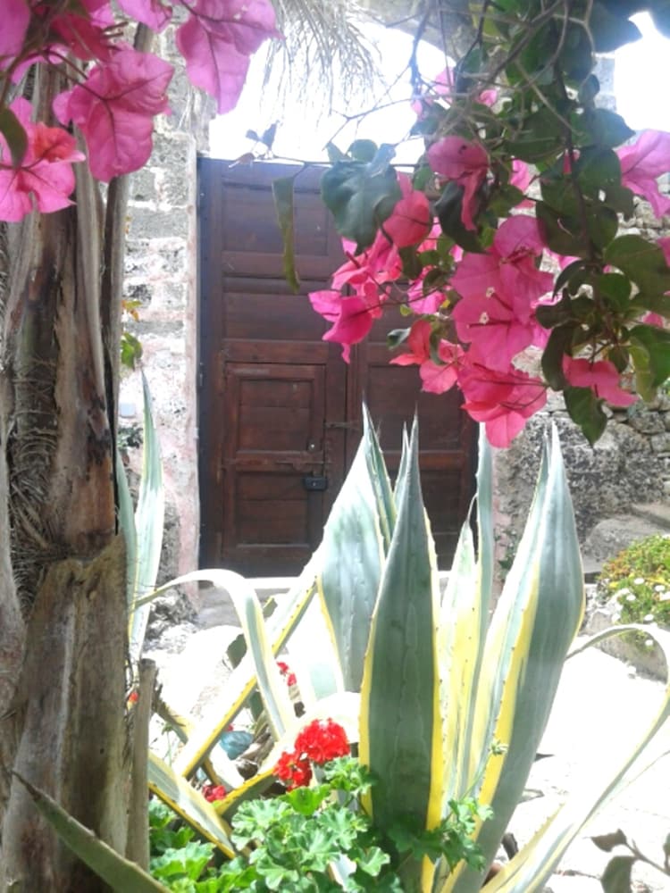 B&B Masseria delle rose 1760