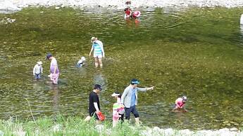 Caddis Pension