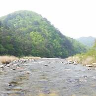 Caddis Pension