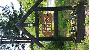 Caddis Pension