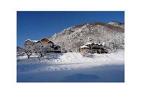 Caddis Pension