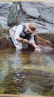Caddis Pension