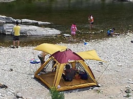 Caddis Pension
