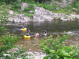 Caddis Pension