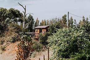 Belmont Homestead