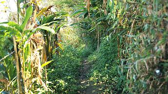 Shola Crown Resort - Munnar
