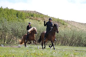 Dæli Guesthouse