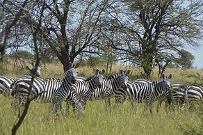 Gnu Mara River Camp