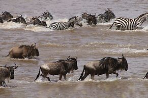 Gnu Mara River Camp