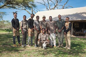 Gnu Ndutu Camp