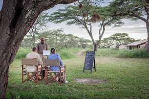 Gnu Ndutu Camp