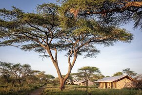 Gnu Ndutu Camp