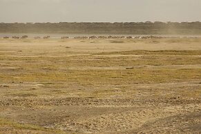 Gnu Ndutu Camp