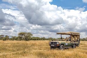 Gnu Ndutu Camp