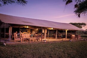 Gnu Ndutu Camp