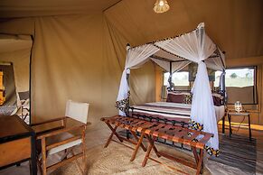 Gnu Ndutu Camp