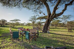 Gnu Ndutu Camp