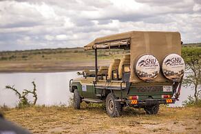Gnu Ndutu Camp