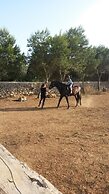 Agroturismo Biniati Des Pi