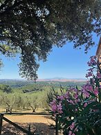 Agriturismo Poggio Bonelli
