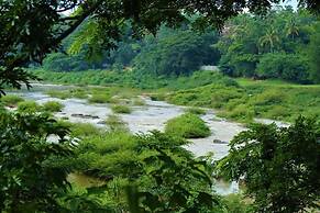 Riverine Cascade