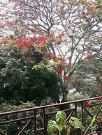 Riverine Cascade