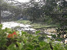 Riverine Cascade