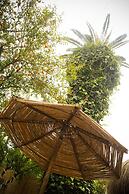 Villa Les Palmes