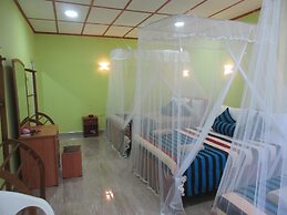 New Blue Home