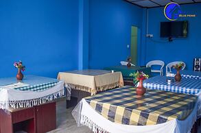 New Blue Home