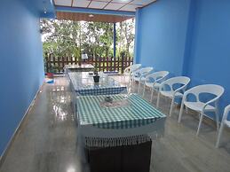 New Blue Home