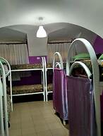 JUNGLE - Hostel