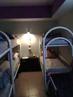 JUNGLE - Hostel