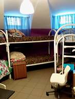 JUNGLE - Hostel