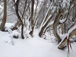 Whistler 3