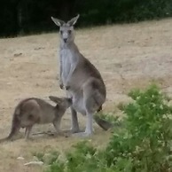 Jarrah Lodge