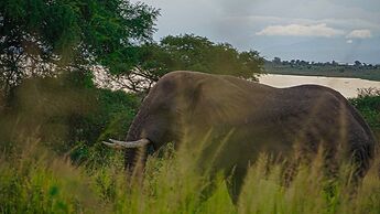 Sambiya River Lodge