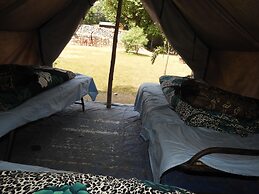 WildHawk Adventures