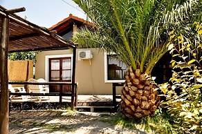 Sangiovese Club House