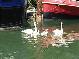 Boat For Guest