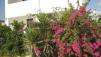 Aronis Plaka Naxos