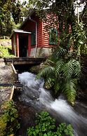 Dawson Falls Mountain Lodge