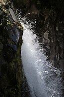 Dawson Falls Mountain Lodge
