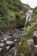 Dawson Falls Mountain Lodge
