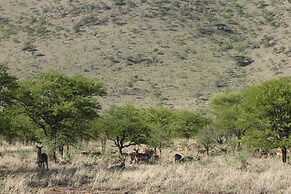 Koedoeskop Private Mountain Reserve