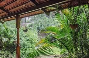 Mahua Vann Pench