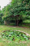 Mahua Vann Pench